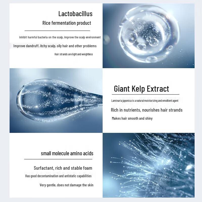 Pote Seaweed Anti-Dandruff Shampoo & Conditioner Set