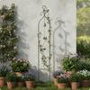 Metal Trellis with Bell Wrought-Iron Look Climbing Plant Support