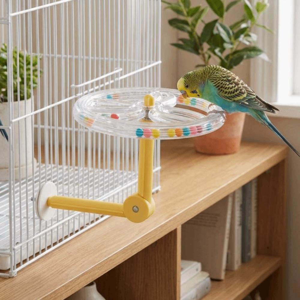 360 Grad Drehung Klarer Vogel Drehspielzeug Verstellbarer Vogelkäfig Spielständer Papageien Beschäftigung