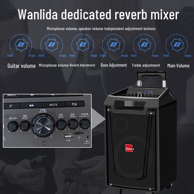 Malata M+9047 12-inch Portable Bluetooth KTV Speaker (CN version)
