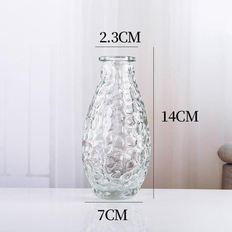 Nordic Transparent Glass Vase for Fresh or Dried Flowers – Mini Home Decoration Ornament