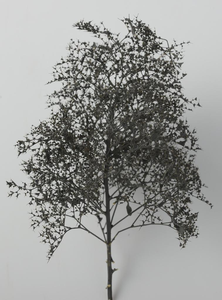 Woodland Scenics x KATO Natural Material Trees Black Dyed Railway Model Supplies 24-368