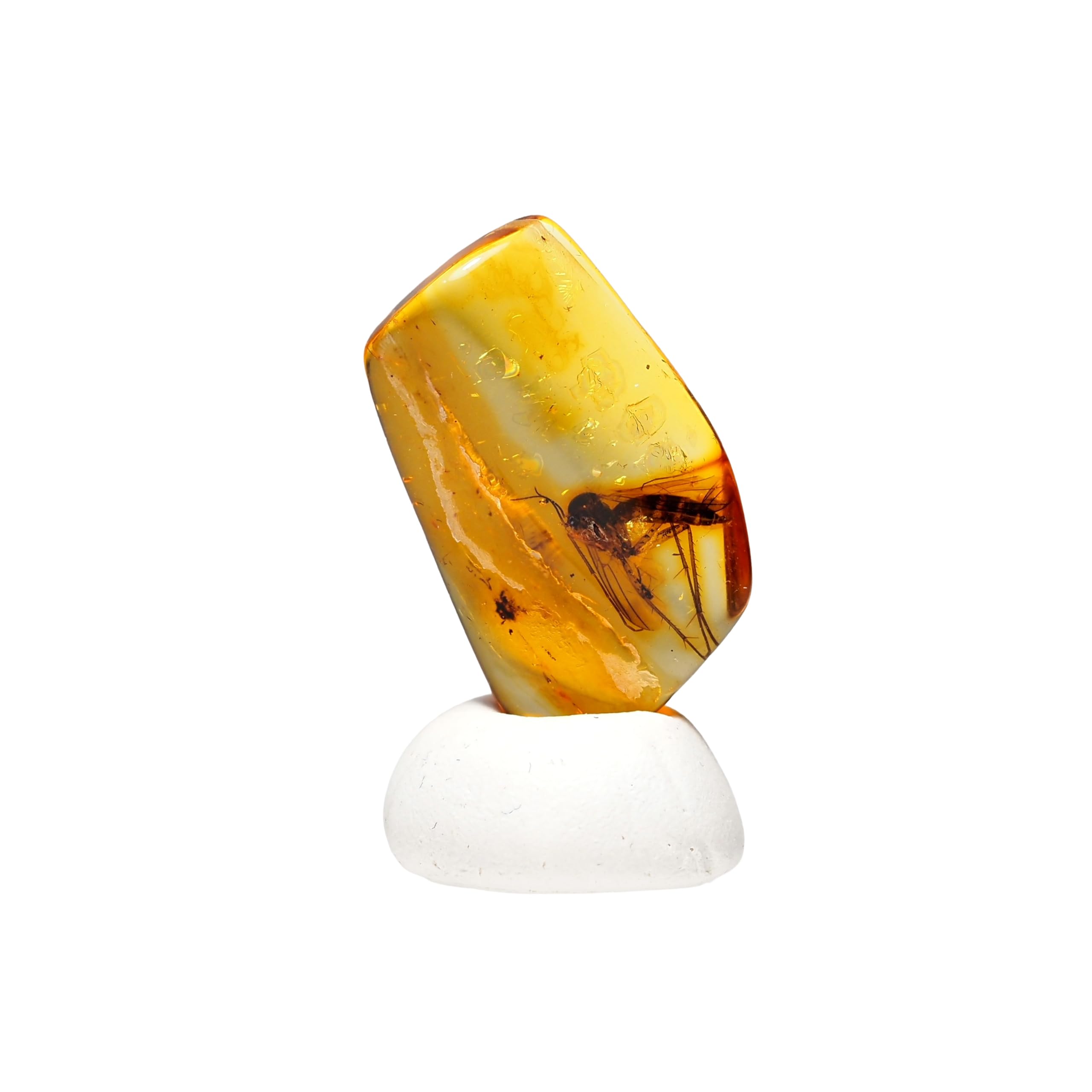 stone Natural Fossil Amber with Insect Specimen of a 18x12x4mm [N2 Natural] - (40  One kind  [Amber approx. 0.6g, Insect approx. 7mm])