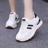 Mesh Breathable Women's Shoes Sneakers Women's Light and Fashionable 2025 Spring New Dad Heightening Ins Board Shoes