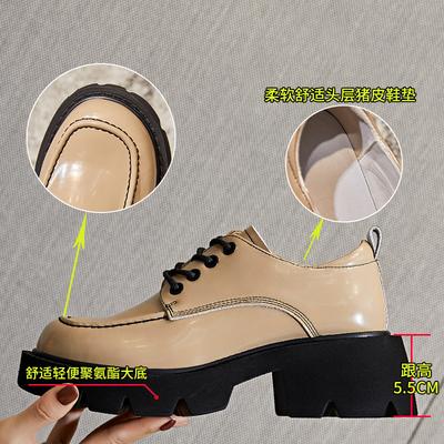 Mary Jane Women's Shoes 2025 Spring New Women's Small Fragrant Style Loafers Fashion Thick Heel Shallow Mouth Single Shoes Women
