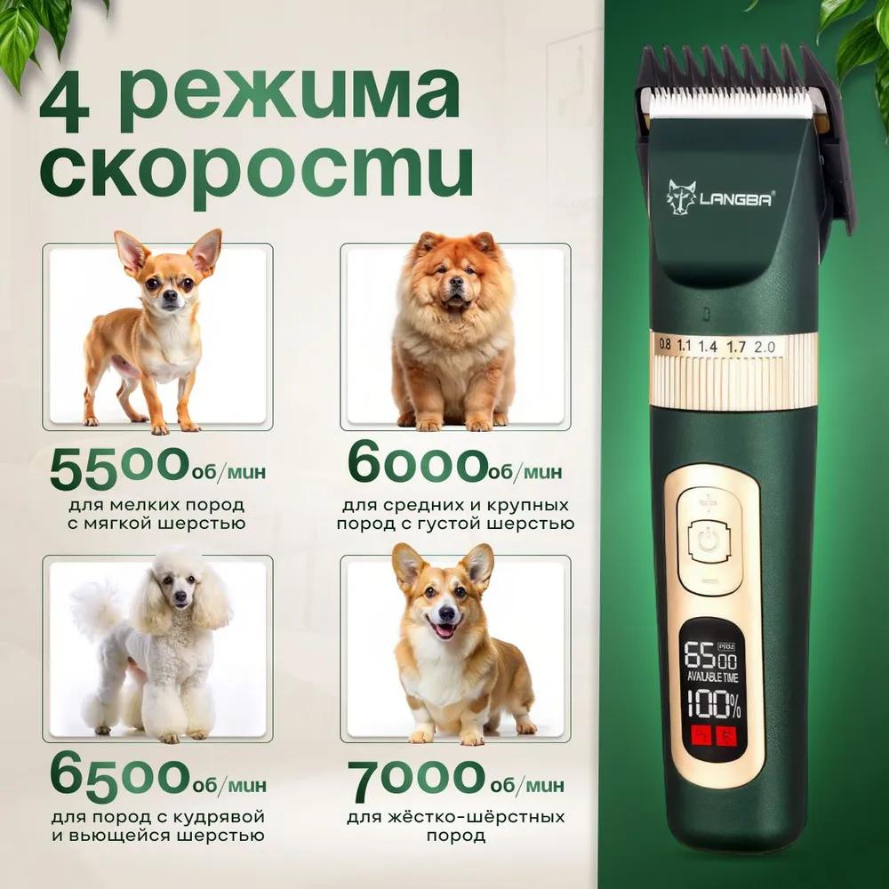 Profesjonalna maszynka bezprzewodowa dla psów i kotów. Cichy trymer dla psa