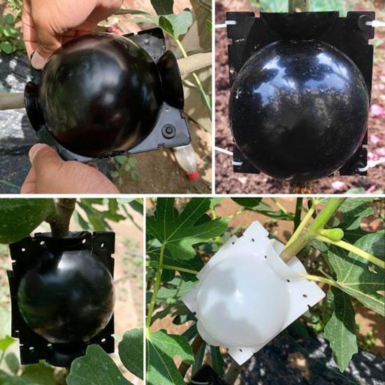 5 Stück Pflanzenwurzelball, wiederverwendbar, Gartenwerkzeug, leicht zu reinigen, Botanik, Wurzelwachstums-Controller, Pfropfbox für den Garten