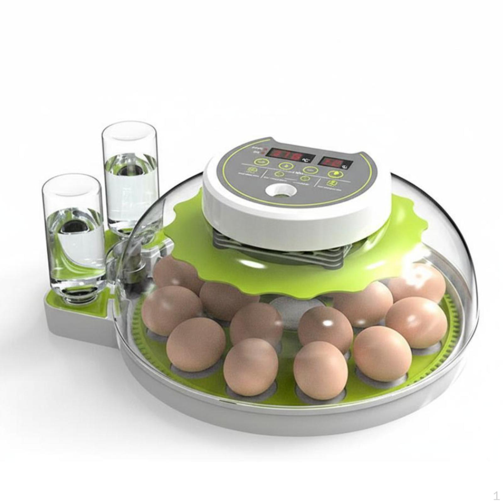 Ovum Incubator, Automatic Temperature & Humidity