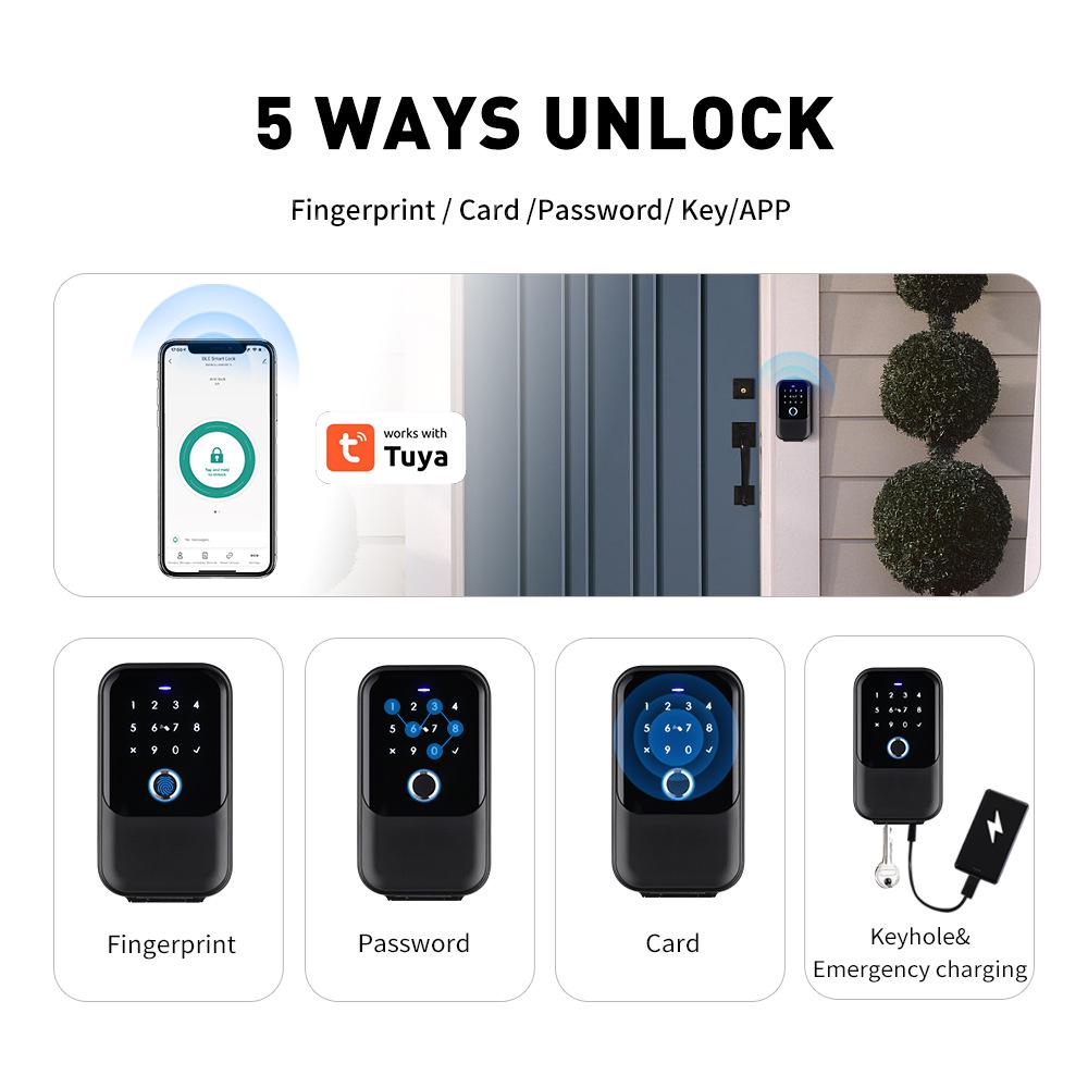 Cassetta portachiavi impermeabile Graffiti Smart con TUYA e TTlock - Impronta digitale, Password e Controllo App.