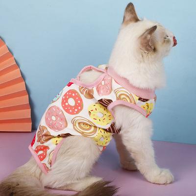Gatos – Roupa para gatos