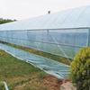 Junpo Blue Transparent Thickened Anti-Aging Greenhouse Film