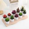 Artificial Plants Succulent Flowerpot Mini succulents Bionic Potted Plant Desktop Potted Plant Home Decoration Mini Potted Plant