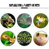 Tree Frog Nest Climbing Rainforest Terrarium Tree Frog Habitat Platform Reptile Enclosure Creative Landscape Frog Plastic Basin