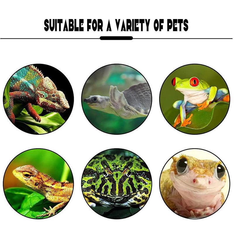 Tree Frog Nest Climbing Rainforest Terrarium Tree Frog Habitat Platform Reptile Enclosure Creative Landscape Frog Plastic Basin