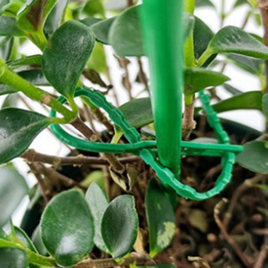 Regulowane opaski do roślin Wielofunkcyjne Elastyczne Plastikowe Opaski zaciskowe Opaski do zarządzania kablami Ogrodowe Opaski wspierające rośliny dla pnączy Krzewów