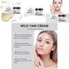 Hoygi Wild Yam Balance Cream Gentle Hydration Nourishing Softening Daily Skincare 50g