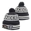 Lion Rugby Knit Hat, Dolphin Outdoor Warm Sun Hat, 49ers Hip Hop Ear Protection Hat