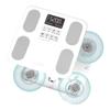 Smart Body Composition Scale (CN Version)