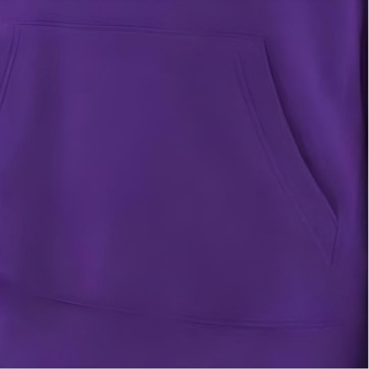 Nike X NBA Collaboration Hoodie Los Angeles Lakers Fleece Simple Comfortable Hooded Kids hoodies Purple 3Z2B7FFPQ-LAK