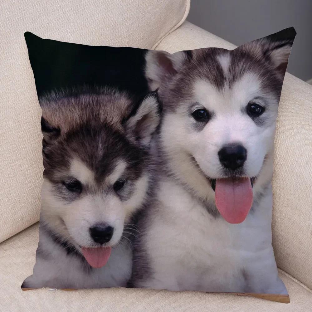 Pet Animal Sofa Cushion Cover Cute Siberian Husky Pillowcase Decorative Dog Print