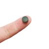 100 Stück Spirulina-Tabletten Fischfutter Spiralalgen Anreicherung Lieblingsfischfutter Behälter Aquarium Rote Garnelen Fischfutter Haustierbedarf