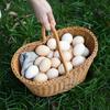 Wooden Imitation Rattan Picnic & Shopping Basket