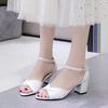 New Fashion Shoes - Chunky Heel Sandals, Versatile and Slip-resistant Shoes, High Heels