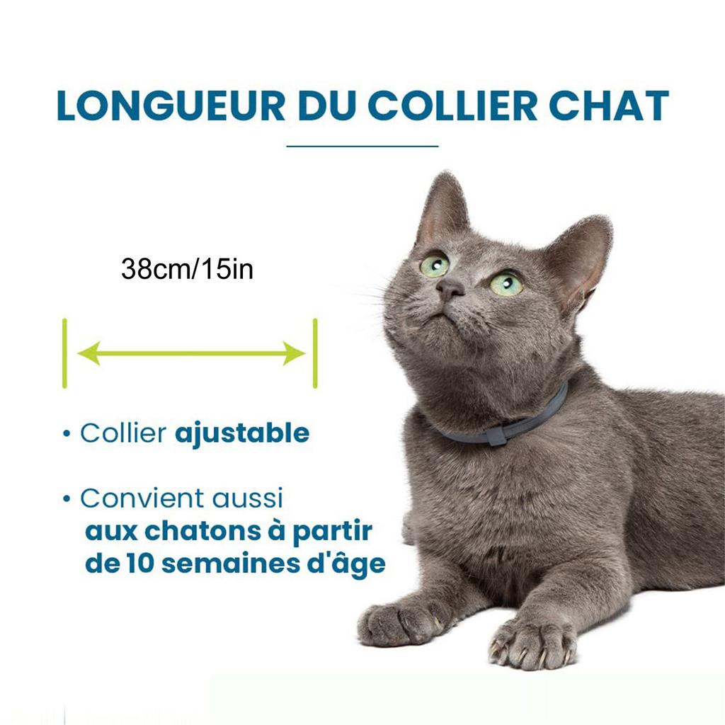 A Nt I Chip A Nt I Chip Necklace, Ant I Chips And A Nt I Ticks For Dogs, 1 Necklaces