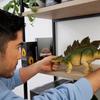 Mattel Jurassic World (JURASSIC WORLD) Hammond Collection Stegosaurus Figure Dinosaur Toy for Kid...