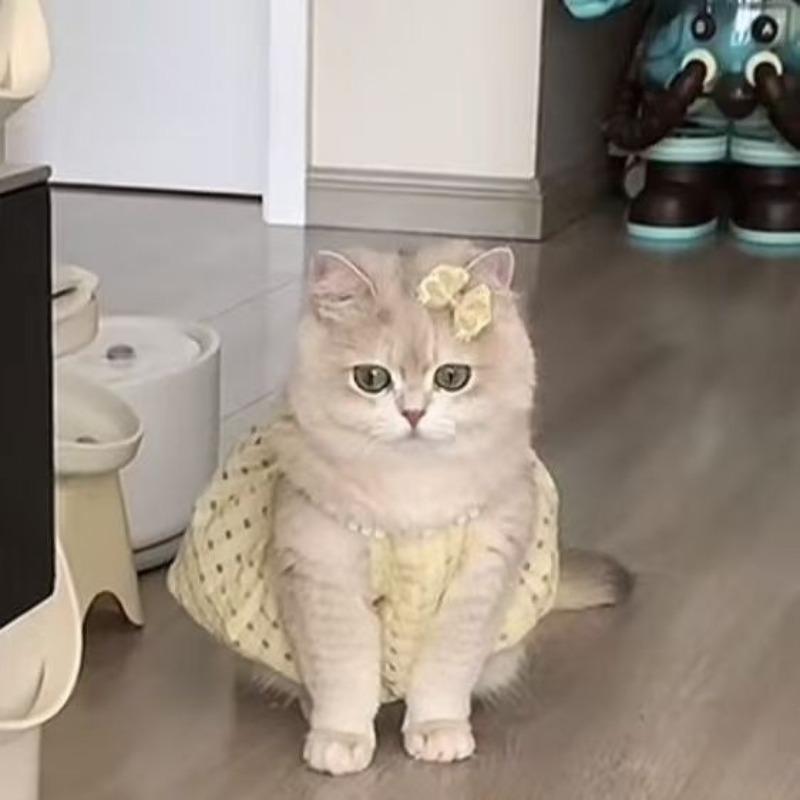 Abbigliamento per Gatti - Stile Estivo Leggero - Bambola Orsetto Corgi - Cucciolo di Piccola Taglia - Animale Domestico Gatto - Vestito Avvolgente Anti-pelo