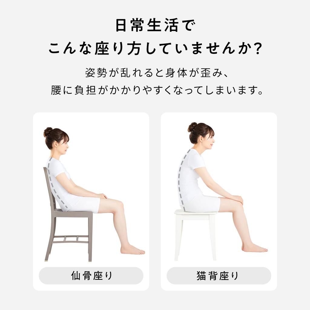 [Official Store Exclusive] Style Natural (Gray) with Original Guidebook - MTG Pelvic Support Chair