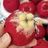 Handmade Pomegranate Wool Felt Bag Charm Keychain Ornament