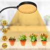 5V LED Grow Light USB Phyto Lamp Sunlike Full Spectrum Grow Tent Phytolamp Hydroponics Plant Seedlings Indoor Grow Tent Box 2835