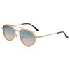 Non-polarized Classic Retro Double Bridge Round Sunglasses for Men Women  Driving Sunglasses
