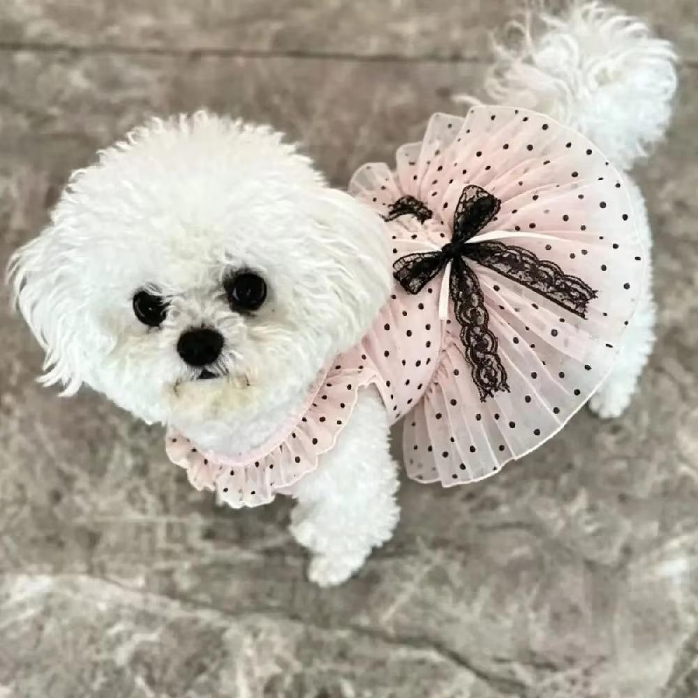 Breathable Dogs Polka Dot Lace Dress Thin Pet Tutu Skirt Pet Princess Dress For Small Dogs Cats