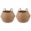 Seagrass Plant Basket with Handles 2 Pcs Natural Ø 32 X 32 Cm 100percent Seagrass