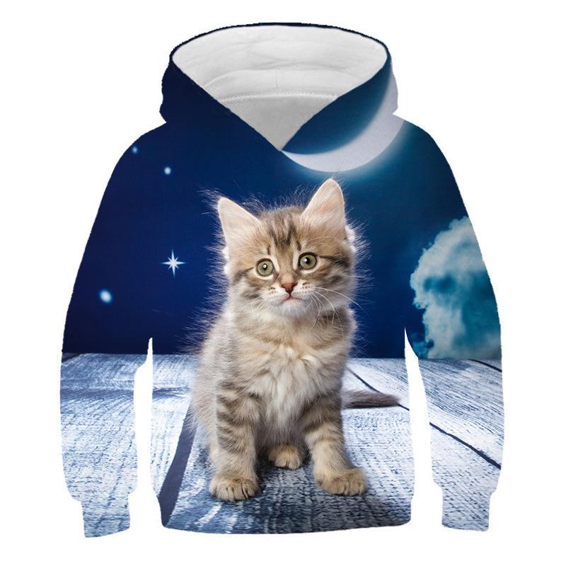 Autumn 3D Cat Pattern Printed Top Fashionable Casual Long Sleeved Children's Boy Hoodies