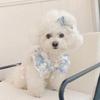Cute Lace Bow Bunny Puppy Cat Leash Teddy Out Doggie Chest Strap Strap Leash