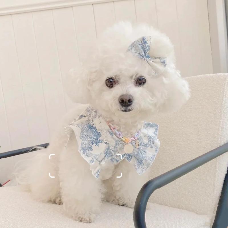 Cute Lace Bow Bunny Puppy Cat Leash Teddy Out Doggie Chest Strap Strap Leash