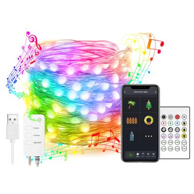 Wi-Fi BT Smart USB Fil de Cuivre Lumière LED Guirlande Lumineuse 16 Millions de Couleurs Application Contrôle Vocal RGB