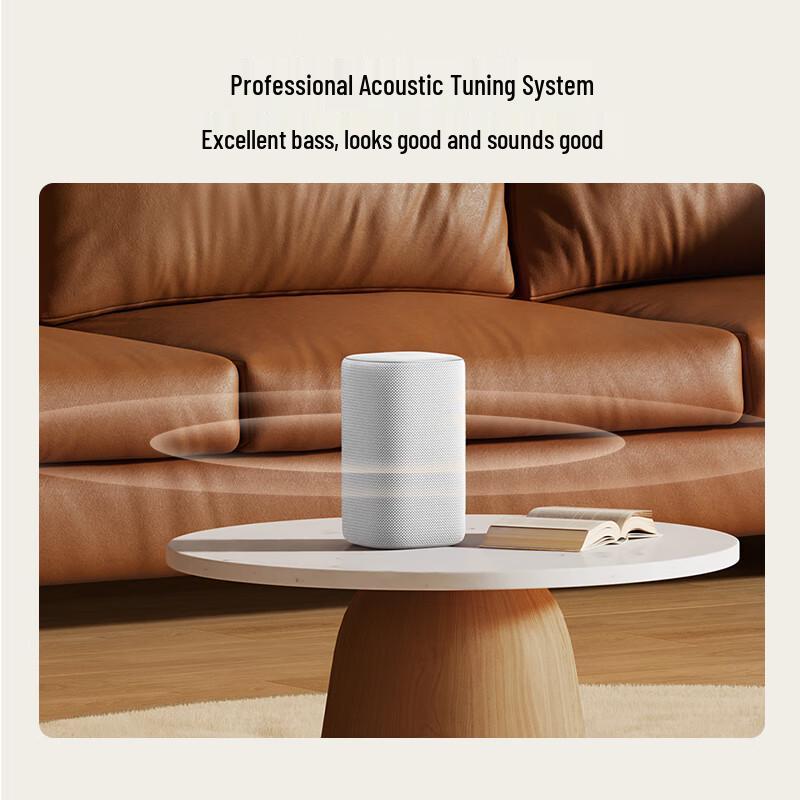 Xiaomi AI Smart Speaker (CN Version)