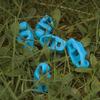 10Pcs Wind Rope Adjustment Buckle Durable Tent Tarp Canopy Shelter Adjuster for Outdoor Camping Hiking