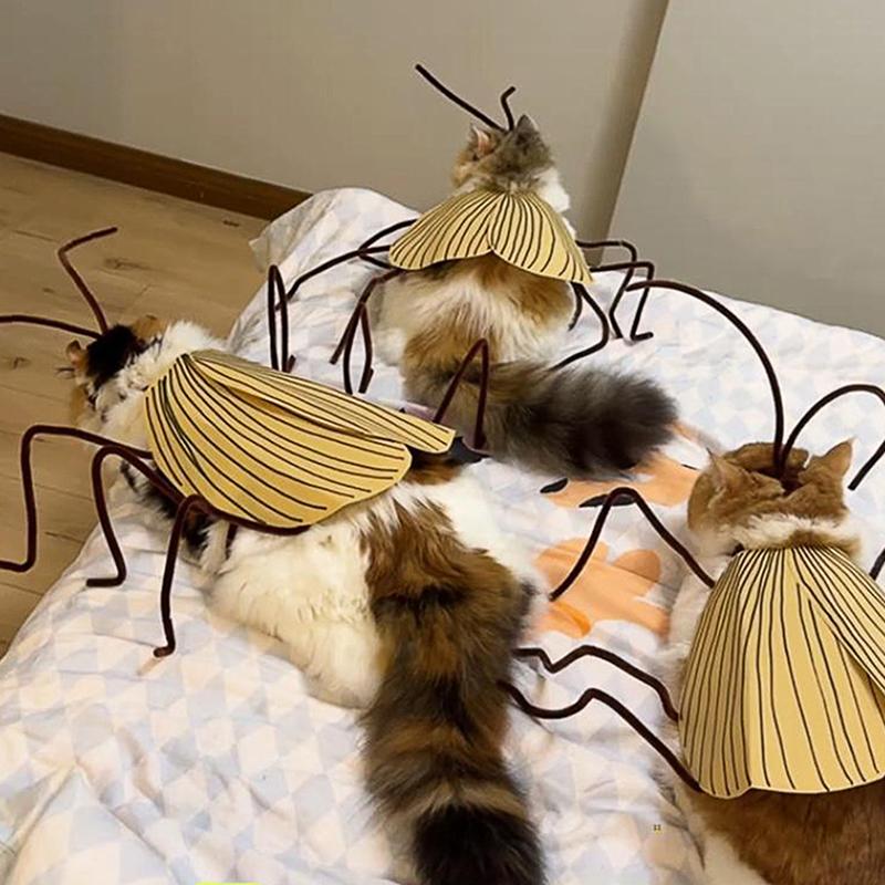 Pet Party Outfit Cat Cockroach Wings Costume Kit Diy Material Pack For Cat Cosplay Dresses With Cute Antennae Apparel