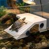 Non-Slip Basking Platform Suction Cup Turtle Climbing Slope Reptile Ramp  Pet Habitat