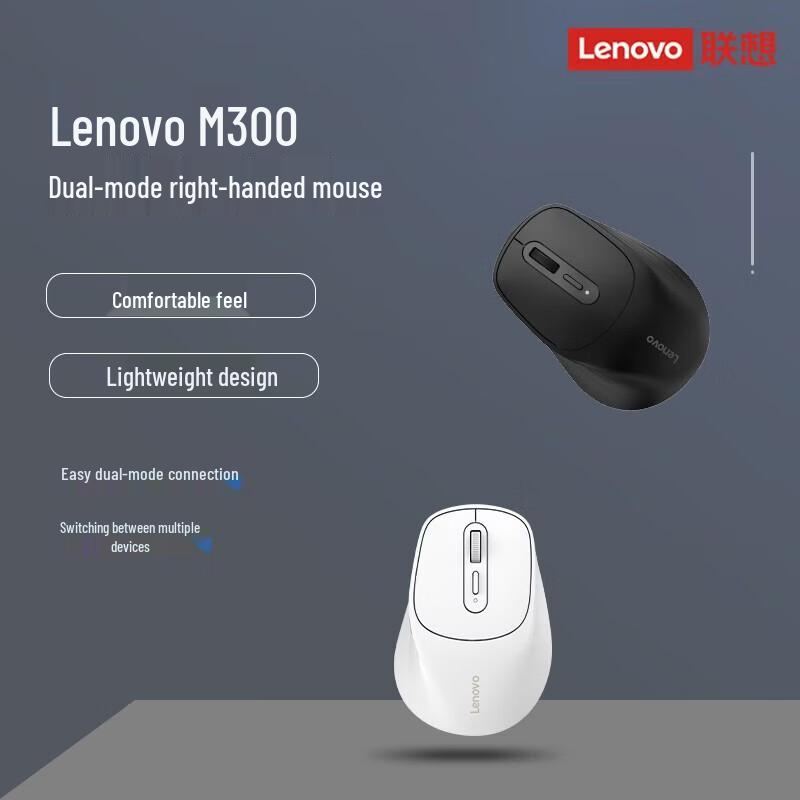 Lenovo M300 Ergonomic 2.4G Wireless Mouse