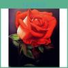 Painting Full Diy Round Diamond Rhinestone Picture Rose Diamond Embroidery Cross Stitch
