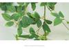 Luxurious Staircase Decor: Bionic Green Rose Vines & Leaves