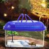 Portable 1PC Plastic with Handle Household Reptile Container Turtle Habitat Spider Jar Turtle Tank