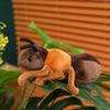 Hot 1pc 18cm Lovely Ant Plush Toys Simulation Plushie Doll Stuffed Soft Animal Toy Room Decoration Kids Birthday Gift