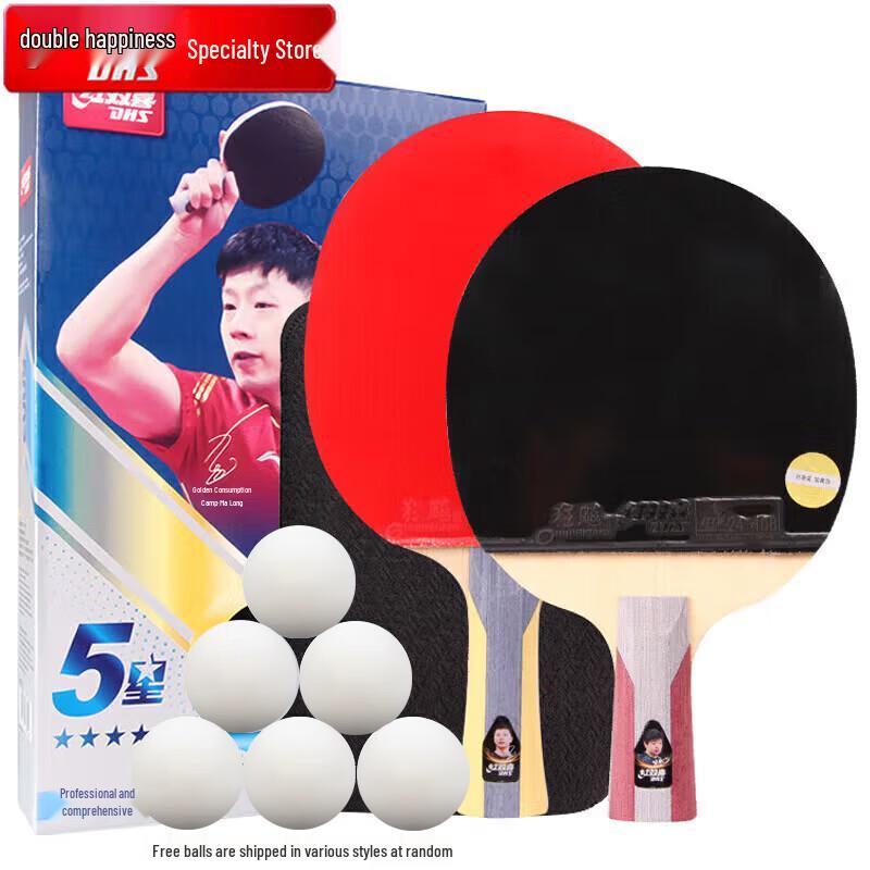 DHS 5-Star Hurricane Table Tennis Racket Set